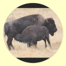 bison stickers