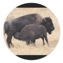 bison sticker