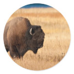Bison Round Sticker