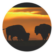 bison sticker