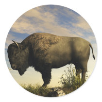 Bison Sticker