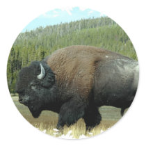 Bison  Stickers