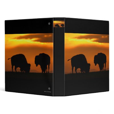 bison sunset 3 ring binders by WorldDesign