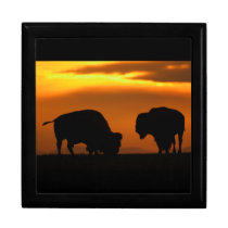 bison sunset keepsake box