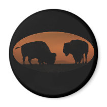 Bison Sunset Magnet