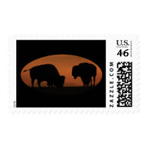 Bison Sunset Postage Stamp