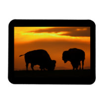 bison sunset flexible magnets