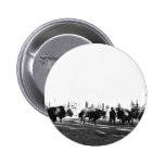 Bison transplant in Big Delta Pinback Button