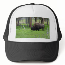 Bison Trucker Cap hats