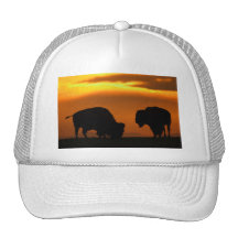 bison trucker hat