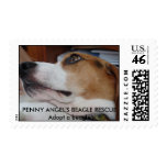 Bisou 031, PENNY ANGEL'S BEAGLE RESCUEAdopt a b... postage