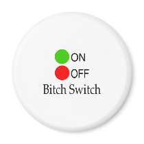 Bitch Switch magnets by BacheloretteGirl Bitch Switch magnets
