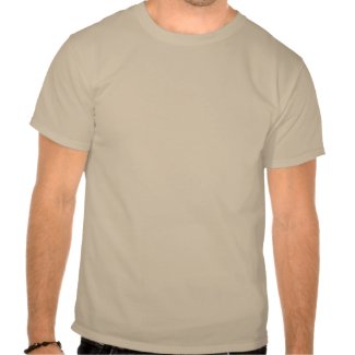 Bitcoin Warrior T-shirt