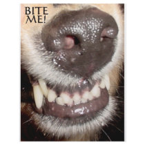 BITE ME! LETTERHEAD