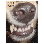 BITE ME! letterhead