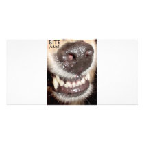 BITE ME! photo cards