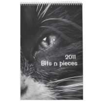 Bits n pieces 2011 calendar