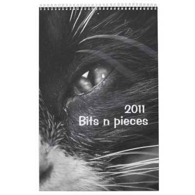 Bits n pieces 2011 calendar by 2011calendars