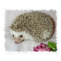 Bitsy the Hedgehog  posters
