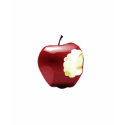 Bitten apple, Bite Me t-shirts by twilightluver1901 Bitten apple, Bite Me t-shirts