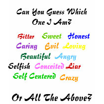 Bitter , Can You Guess Which One I Am?, Sweet  ... t-shirts
