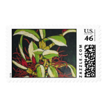 Bitter Fruit Postage Stamp
