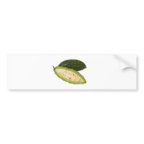 Bitter melon