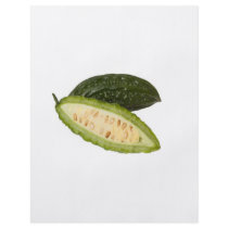 Bitter melon