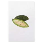 Bitter melon