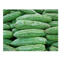 Bitter Melons Postcards