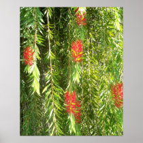 Bittersweet Blooms Print