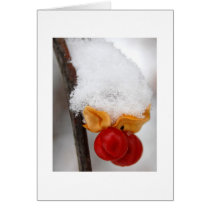 bittersweet greeting card