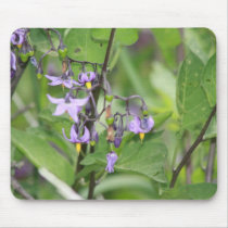 Bittersweet Nightshade Mouse Mats