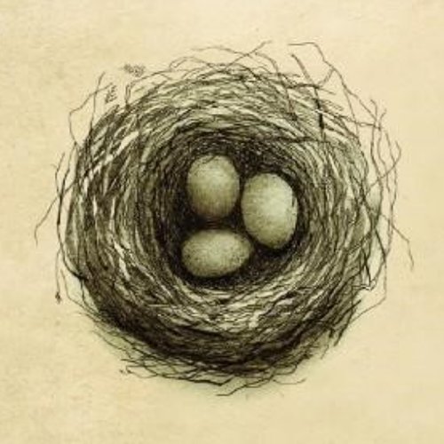 Bitty Bird Nest sticker