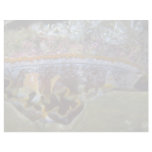 Bivalve from Papua, New Guinea Letterhead Template
