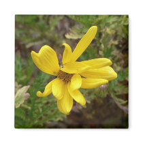 Bizarre flower. magnets