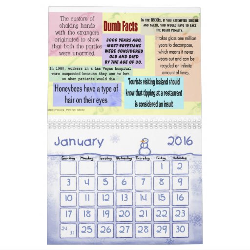 Bizarre Strange and Fun Facts Calendar Zazzle