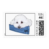Bizou in Repose postage