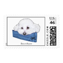 Bizou in Repose w/Caption postage