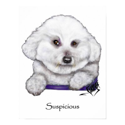 Bizou the Bichon Frise is Suspicious Poster by lucydogdesign