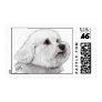 Bizou the Bichon Postage