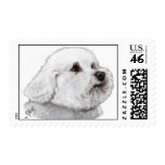 bichon, frise, apparel, art, gift, lover, magnet,