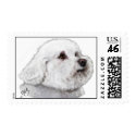 Bizou the Bichon Postage postage
