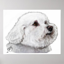 Bizou the Bichon's Sensitive Side Poster
