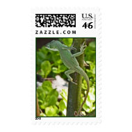 BJ- Green Chameleon Lizard Postage Stamp stamp