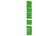 BJJ Brazilian Jiu Jitsu Flag MMA t-shirts