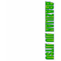 BJJ Brazilian Jiu Jitsu Flag MMA t-shirts