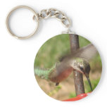 BK- Hummingbird Keychain