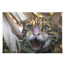 BL006 placemats