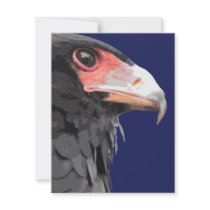 Black African Bateleur Eagle Invitations